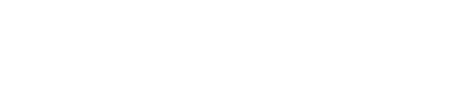 topsaaspro